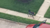 Brother, sister dead in murder-suicide in Pennsauken, New Jersey, officials say