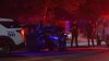 Driver killed when vehicle hits tree along City Ave. in Overbrook, police say