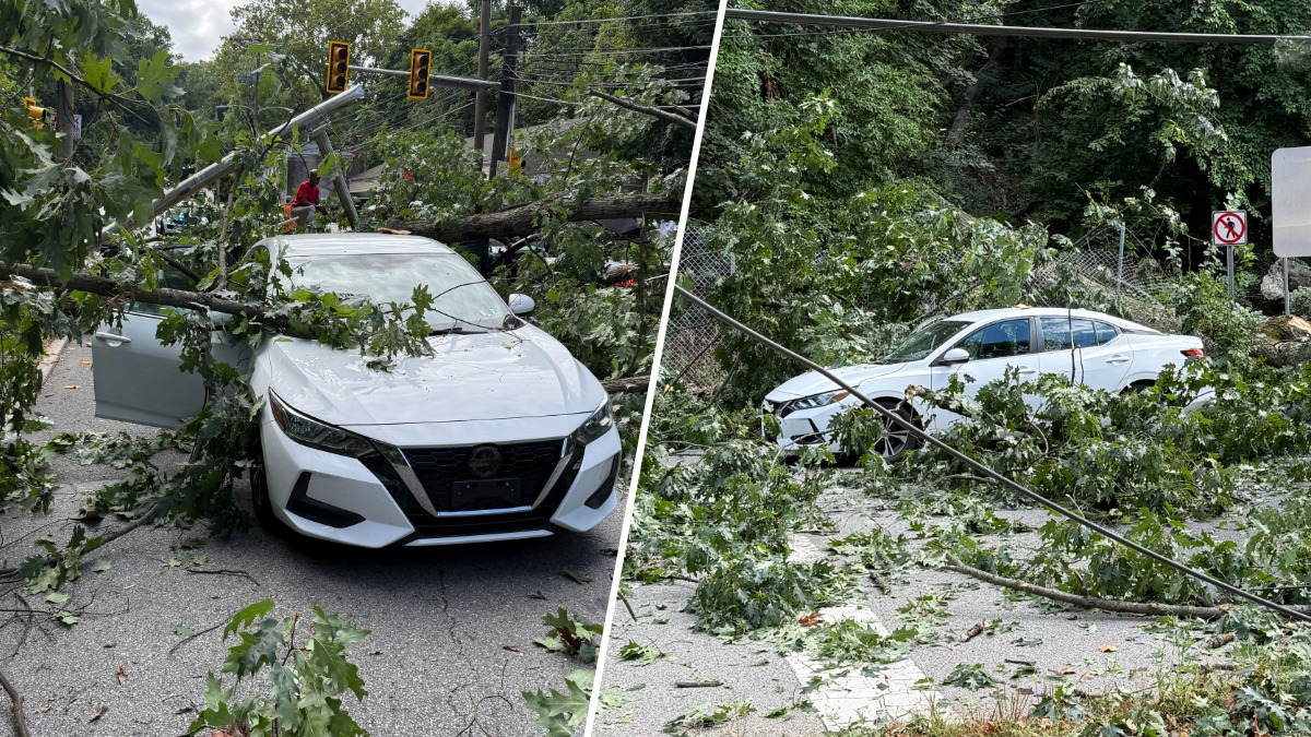 Massive tree falls onto two cars in Montgomery County injuring 2 ...