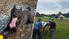 NJ K-9 unit, Loki, saved by medevac after falling ill, police say