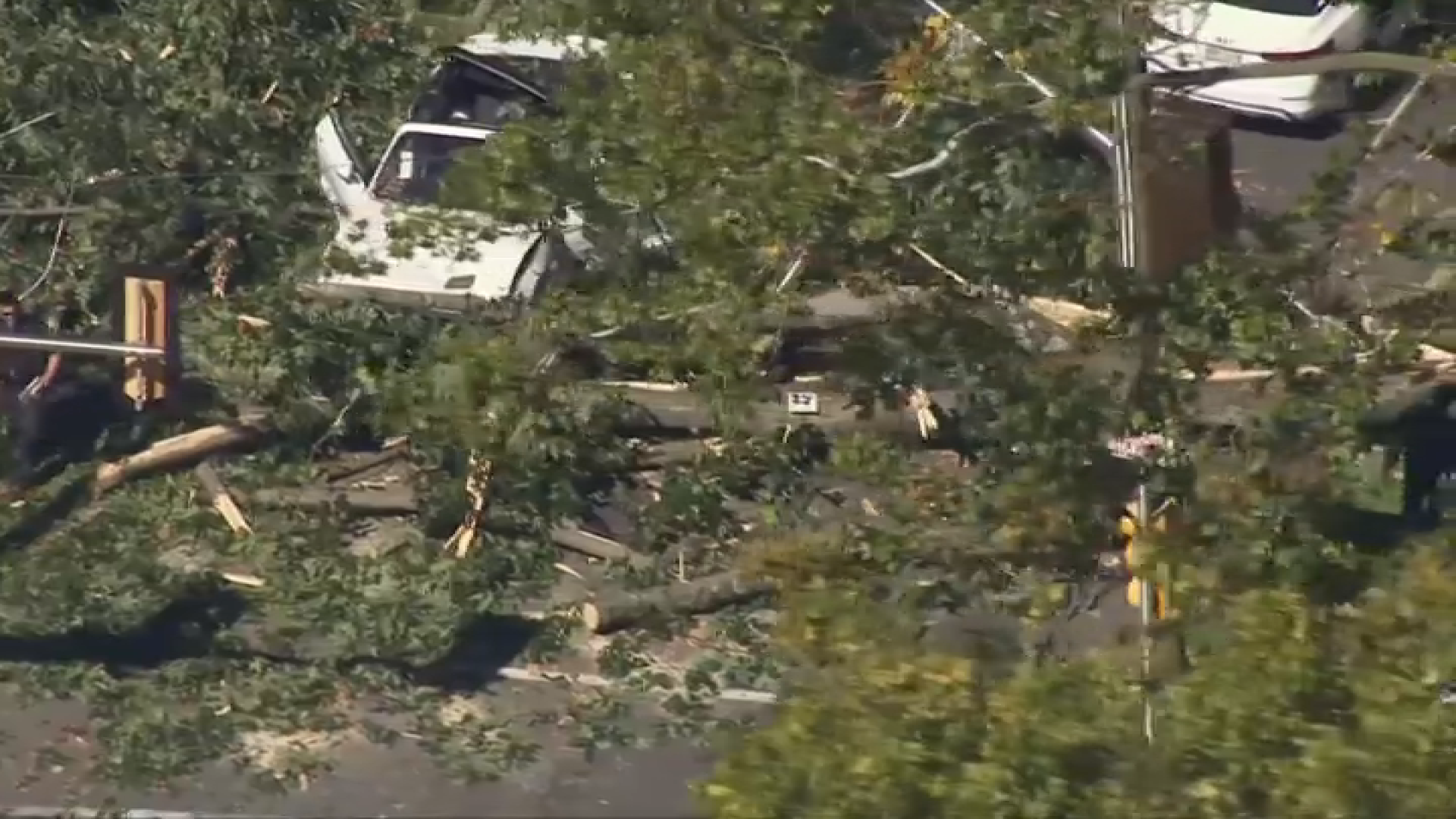 Massive tree falls onto two cars in Montgomery County injuring 2 ...