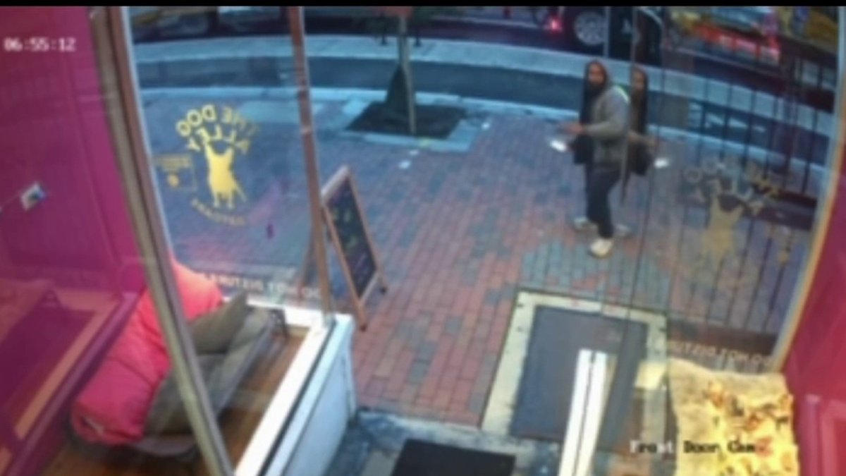 Video shows man throws bottle into doggy daycare in Old City
