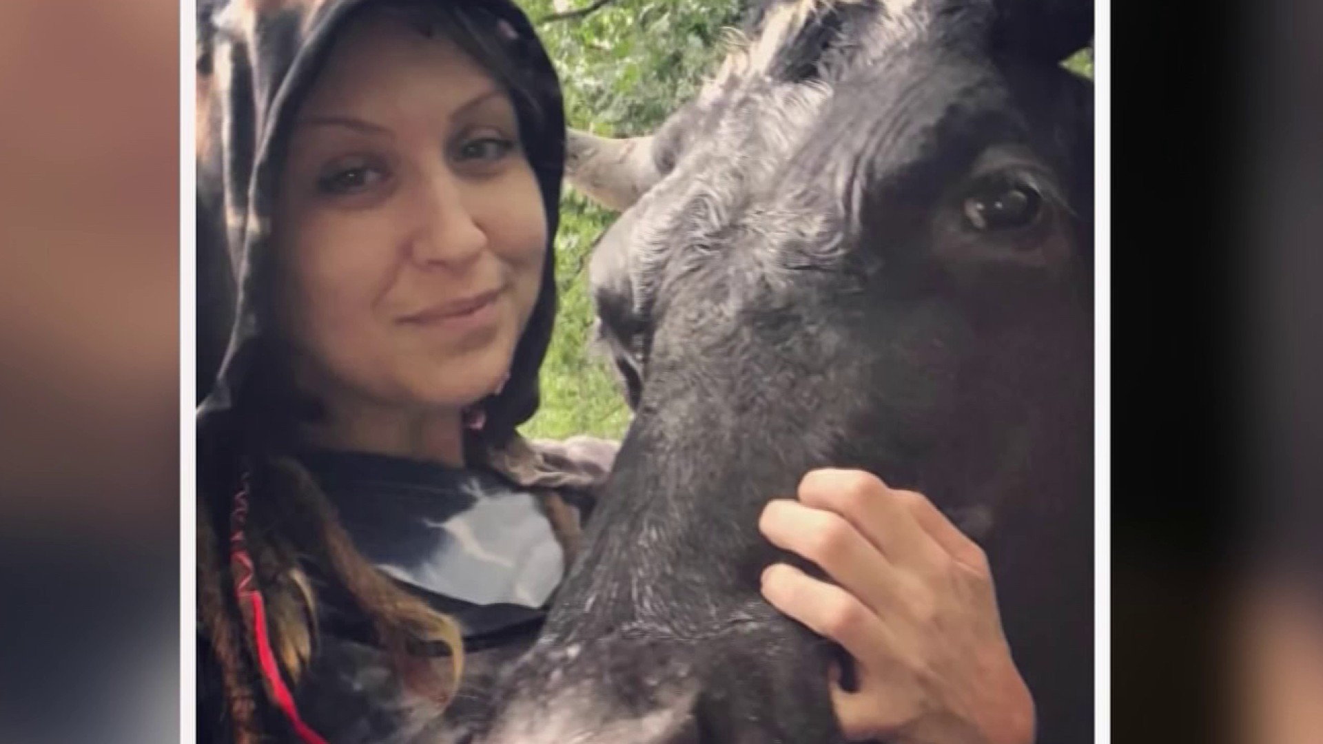 nbcphiladelphia.com - Protecting farmed animals with the Marley Meadows Animal Sanctuary