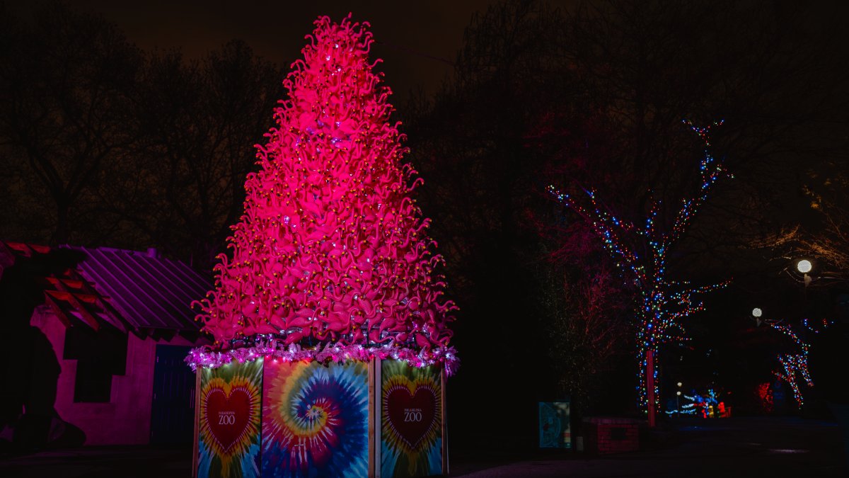 Santa Claws is coming to town as LumiNature lights up Philadelphia Zoo