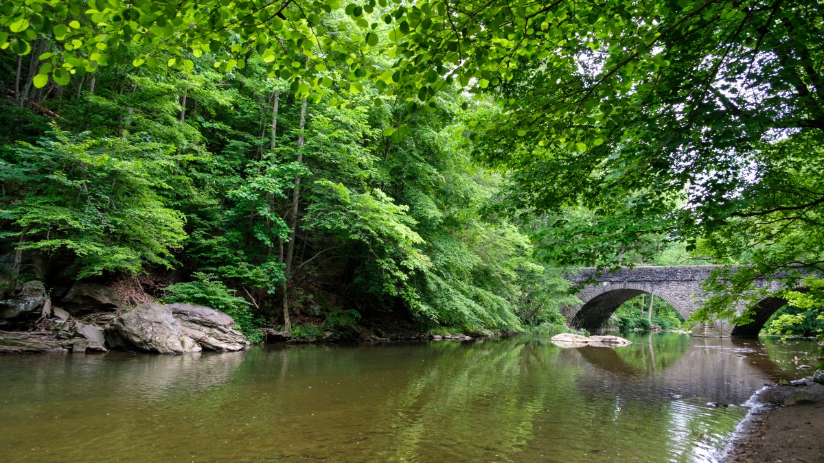 ‘Do not eat' advisory issued for all fish in Wissahickon Creek basin