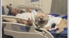 Mom pleas for return of missing dog that belongs to son who has cerebral palsy