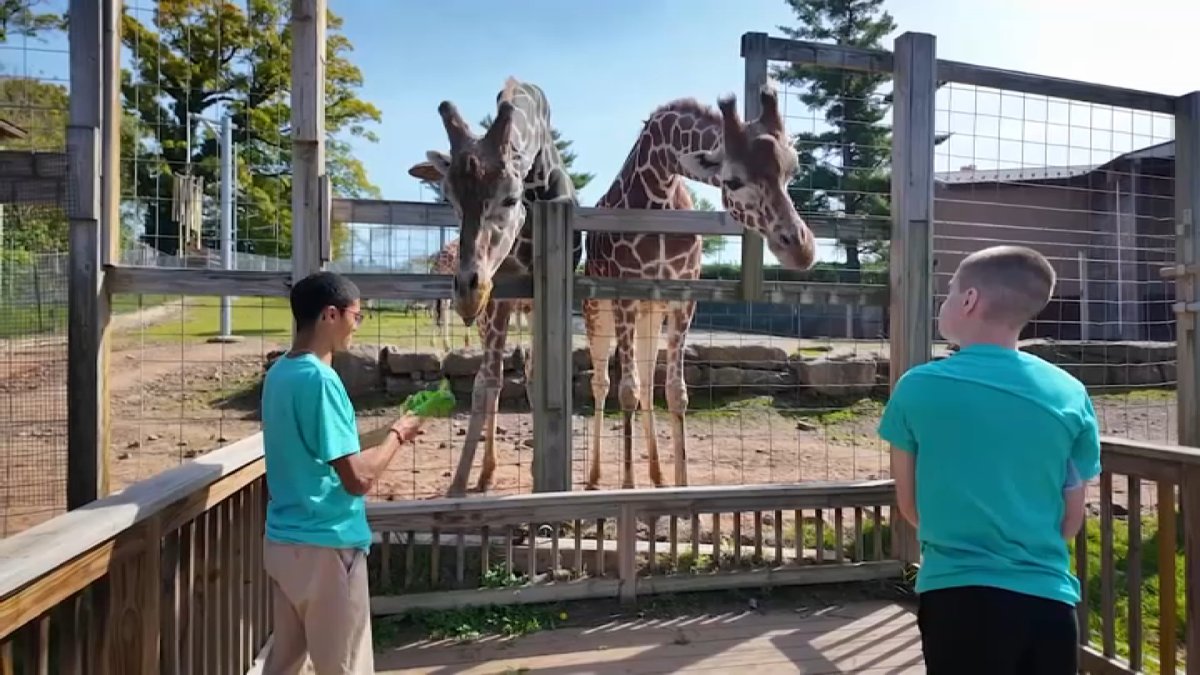 Elmwood Park Zoo program provides work opportunities for special needs students