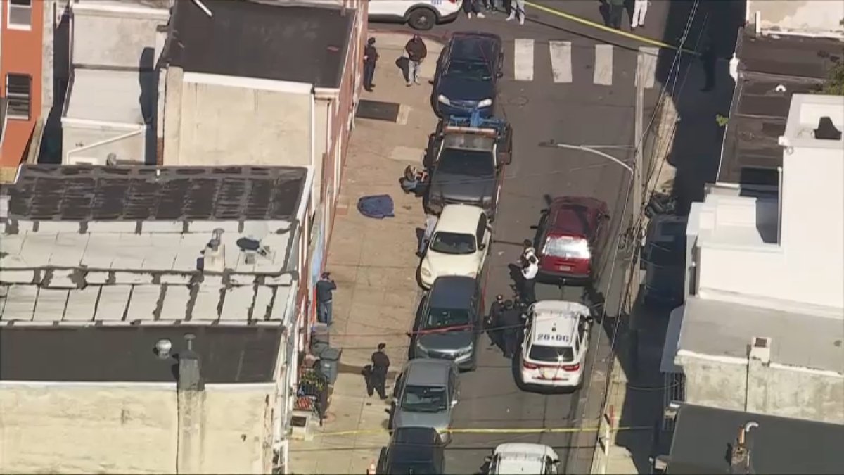 Two dogs died after a fight and shooting in a North Philadelphia home