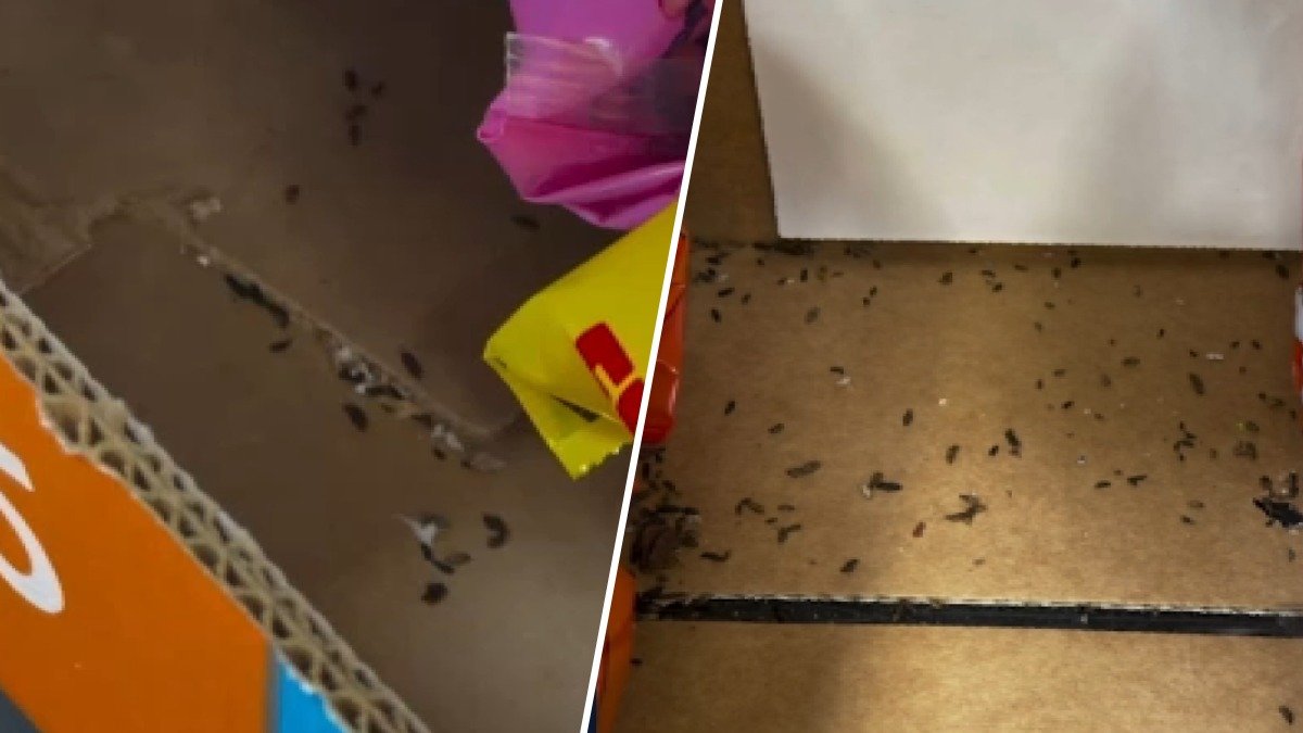 Walmart looking into video appearing to show mouse droppings at Somerdale store