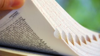 Dictionary.com's Pick for Word of the Year Is 'Xenophobia'