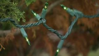 Your Tweets Now Control New Jersey Christmas Tree & Menorah