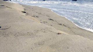 Hurricane's Weekend Forecast: Another Nice Weekend