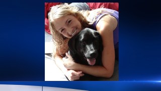 Louie the Lost Dog Found