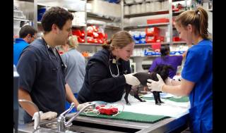 Penn Vet’s Ryan Hospital Open during Pope Visit