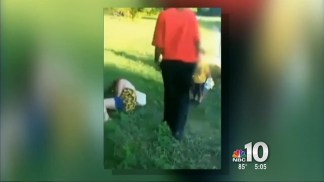 Mom Brutally Beaten With Her Toddler Nearby