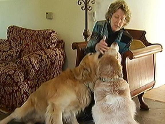 Meet the Animal Communicator