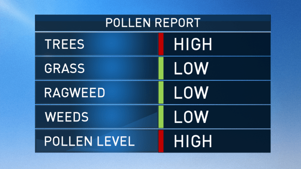 Sneeze-Worthy! Tree, Pollen Allergies at High Levels