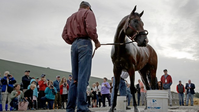 Omaha Beach Is 4 1 Early Favorite For Kentucky Derby Nbc