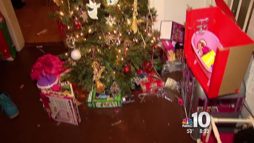 Grinch Swipes Presents From Philly Home Grinch Swipes Presents From Philly Home